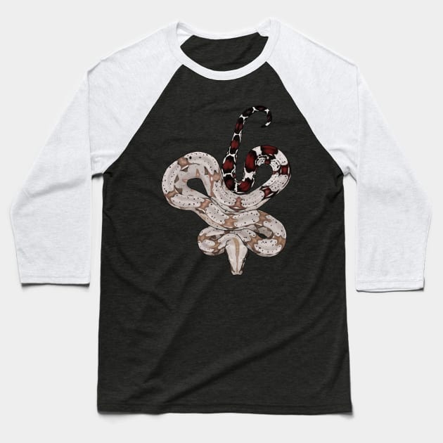 Red Tailed Boa Baseball T-Shirt by Tinker and Bone Studio